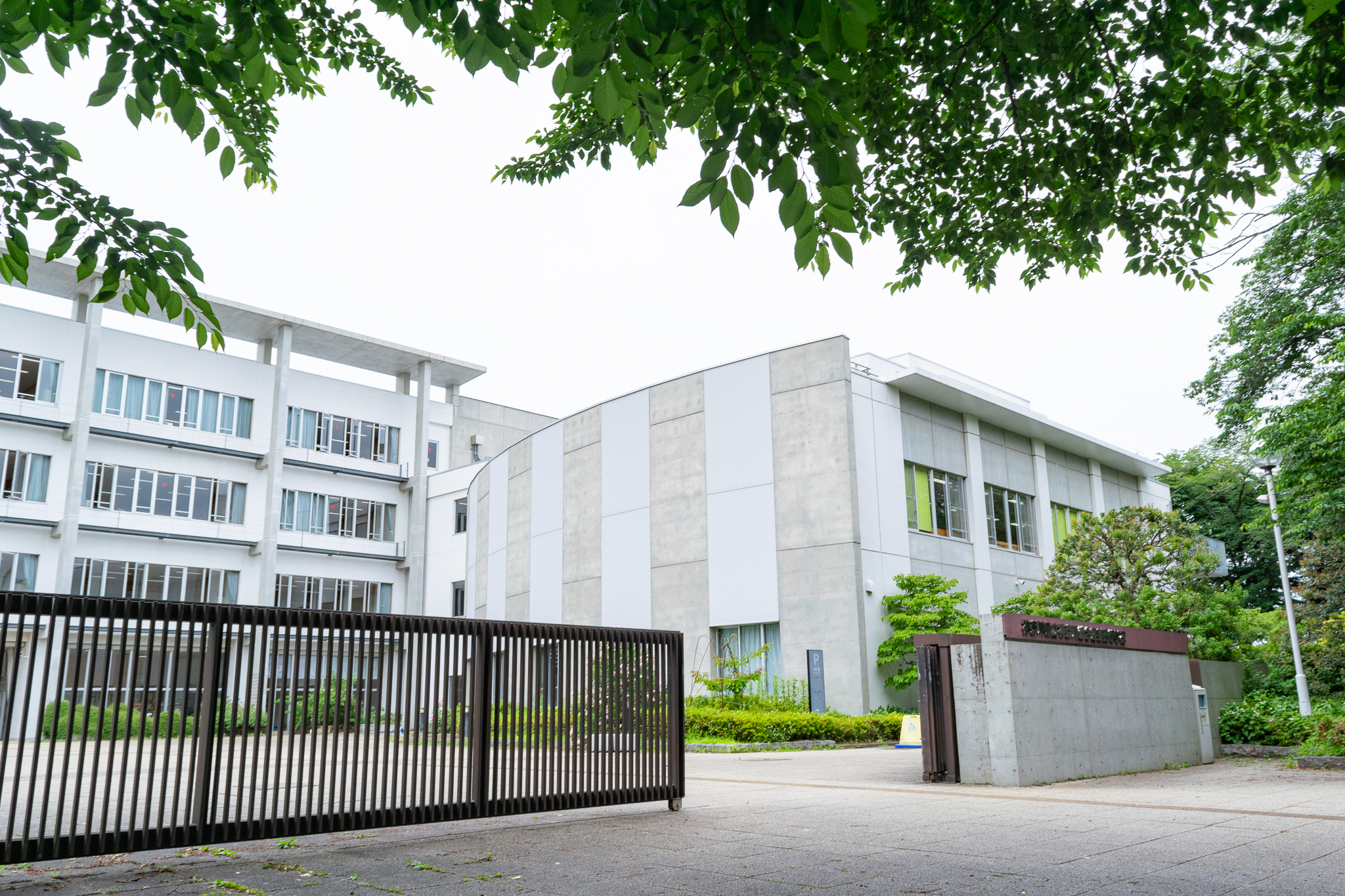 高津物語 連載第九七三回 「高津高等女学校」 | 高津区 | タウン