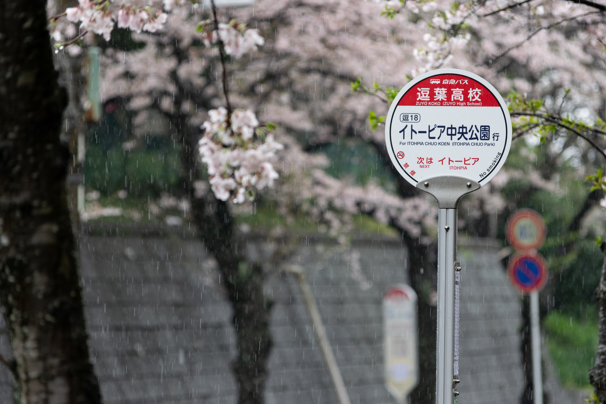 逗葉 高校 バス