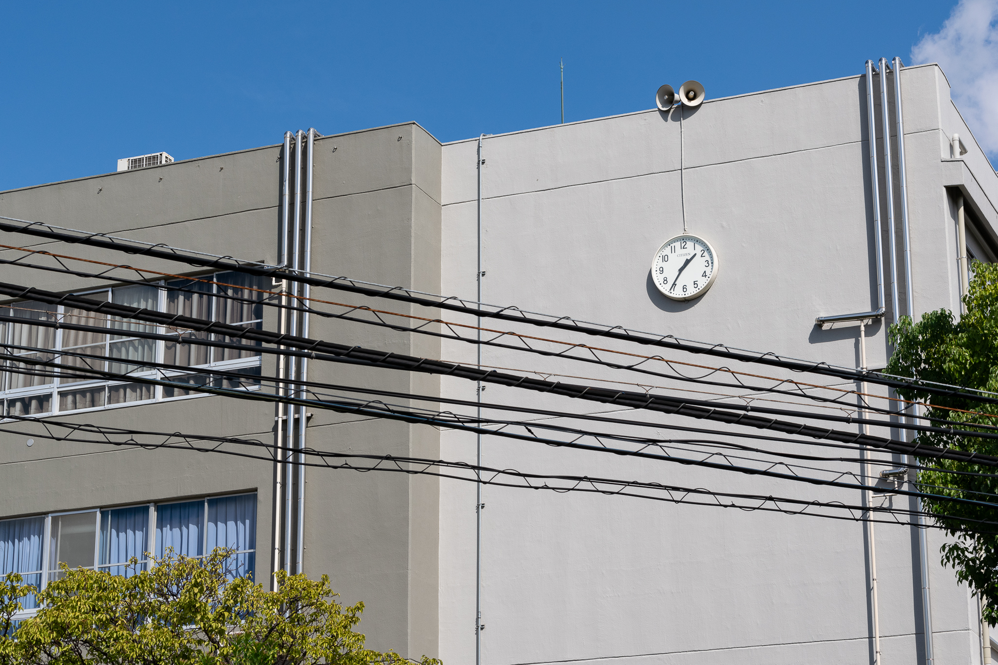 川崎 市立 高津 中学校